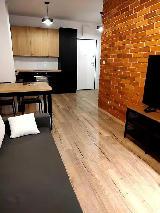 Warsaw Loft Apartment - Grill Terrace On The Roof